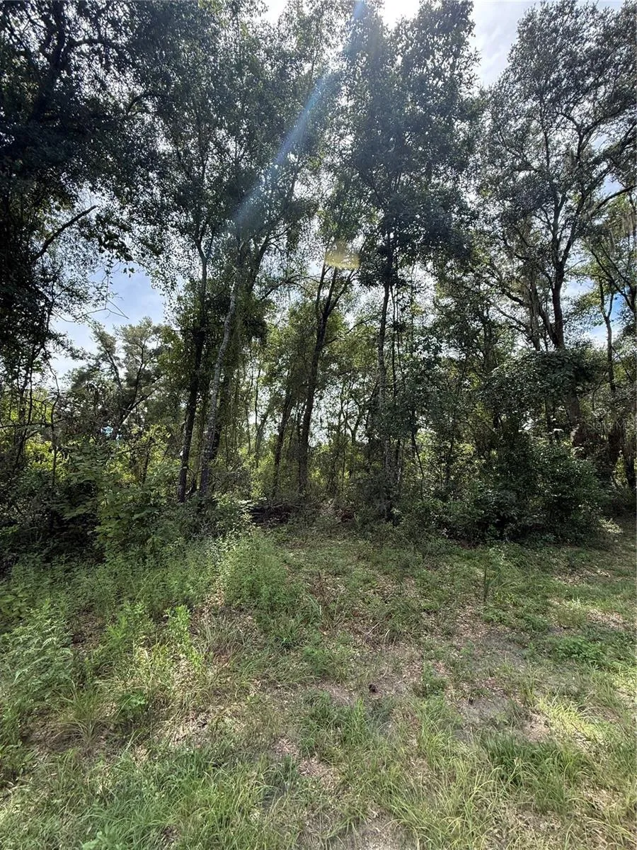 LAKE AVENUE Fanning Springs, FL 32693