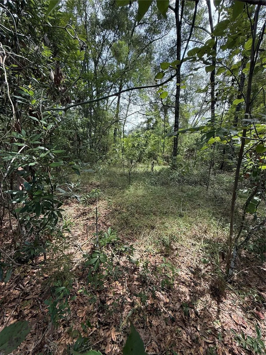 LAKE AVENUE Fanning Springs, FL 32693