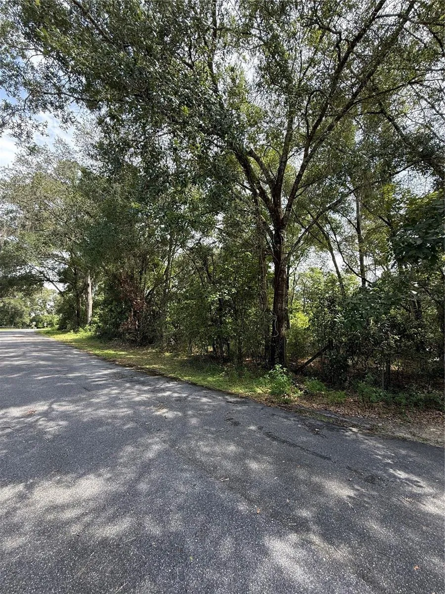 LAKE AVENUE Fanning Springs, FL 32693