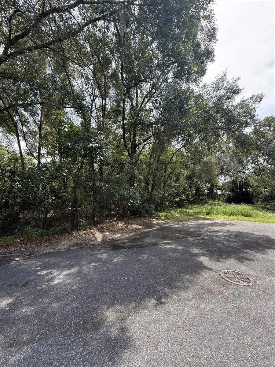 LAKE AVENUE Fanning Springs, FL 32693