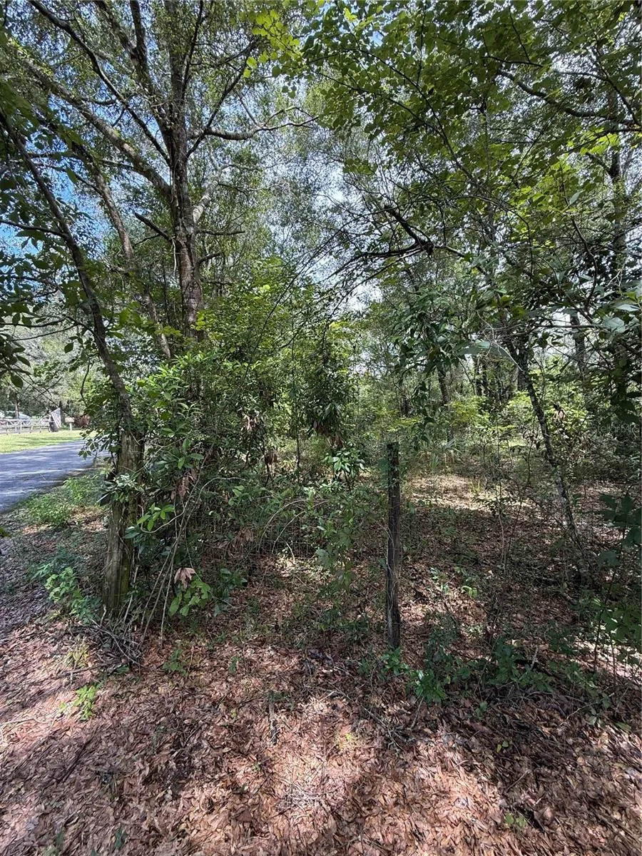 LAKE AVENUE Fanning Springs, FL 32693