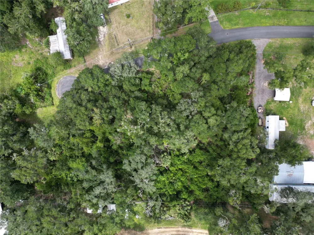 LAKE AVENUE Fanning Springs, FL 32693