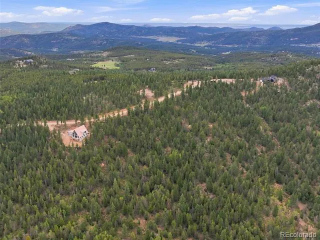 31004 Forest Shadow Trail Conifer, CO 80433