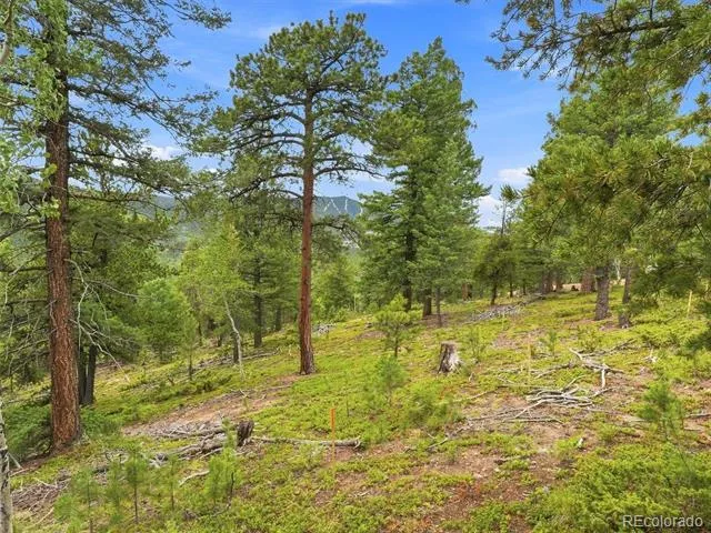 31004 Forest Shadow Trail Conifer, CO 80433