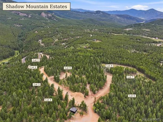 31004 Forest Shadow Trail Conifer, CO 80433