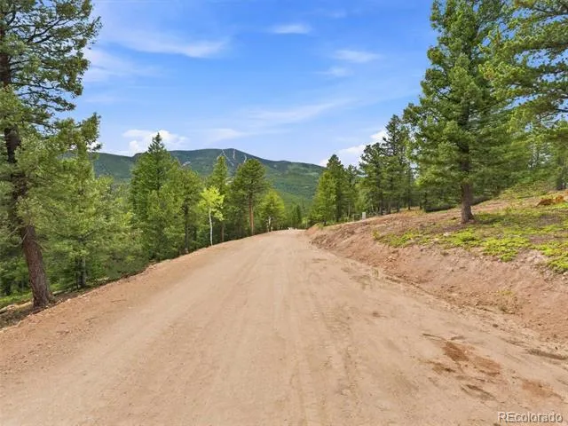31004 Forest Shadow Trail Conifer, CO 80433