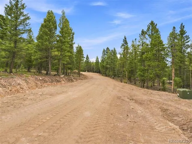 31004 Forest Shadow Trail Conifer, CO 80433
