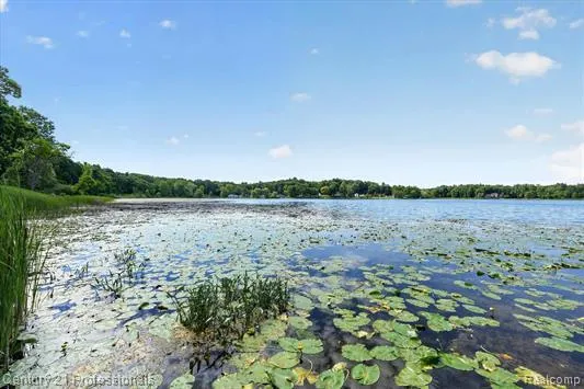 126 Parker Ortonville Village, MI 48462