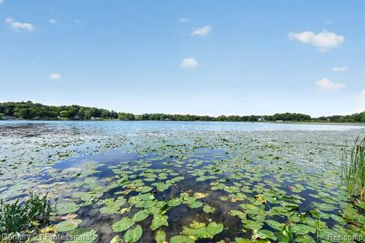 126 Parker Ortonville Village, MI 48462