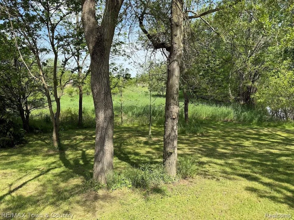 4372 Gale Road Richfield Township, MI 48423