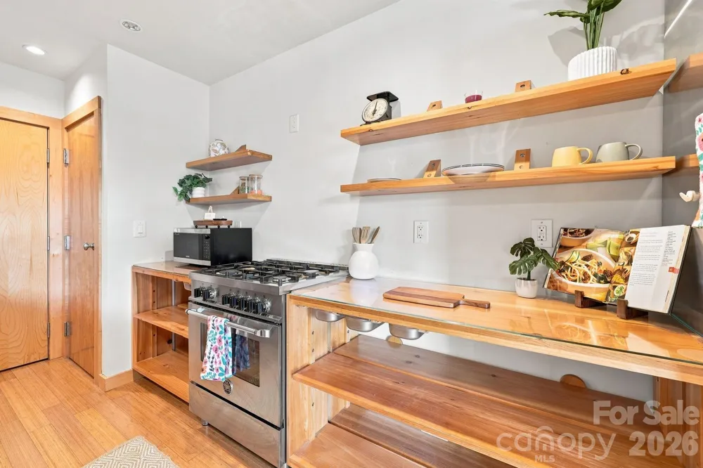 12 S Lexington Avenue #201 Asheville, NC 28801