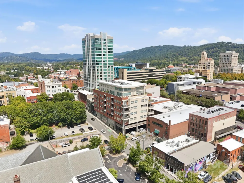 12 S Lexington Avenue #201 Asheville, NC 28801