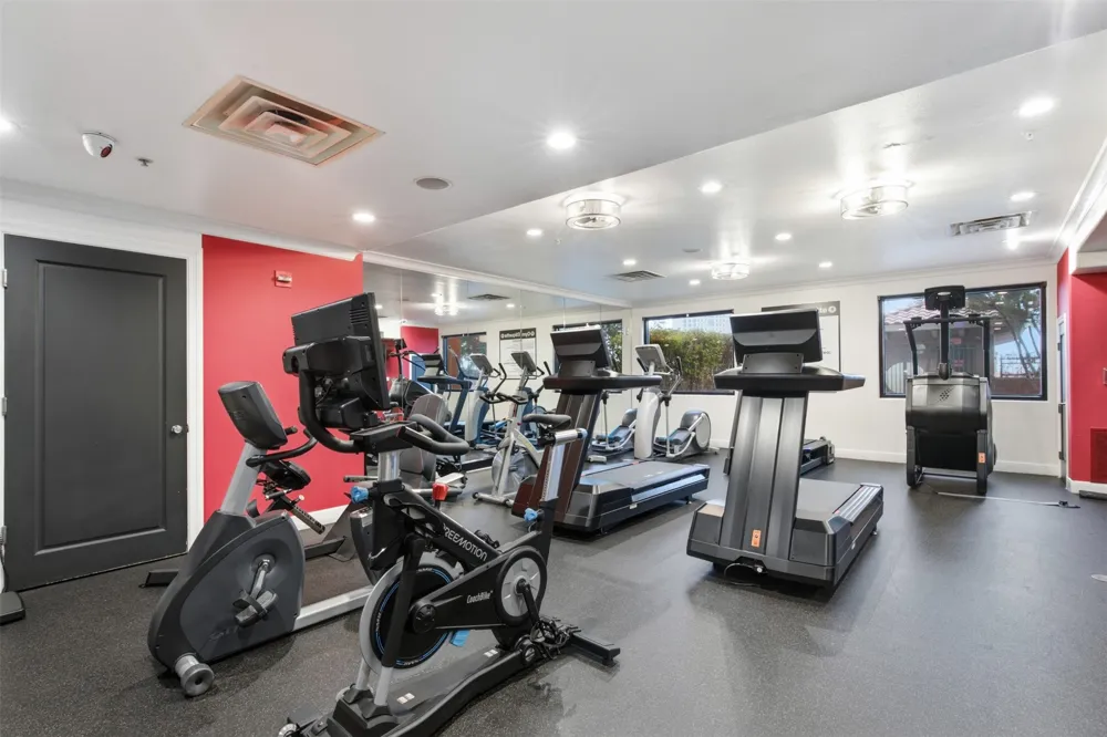 330 Las Colinas Boulevard E #1216 Irving, TX 75039