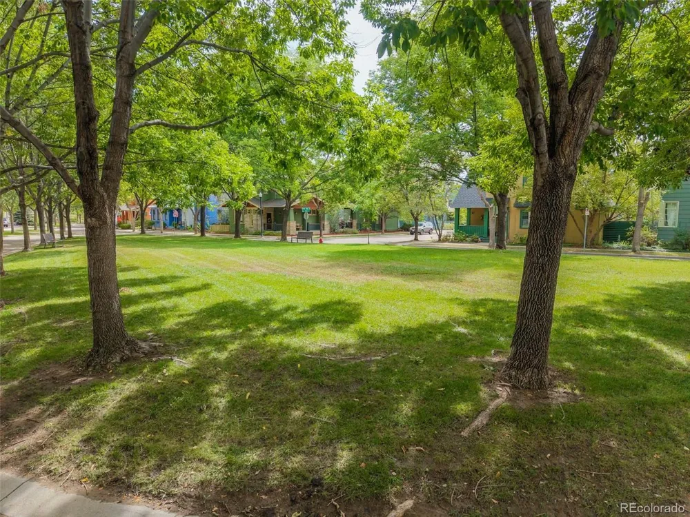 821 Incorrigible Circle Longmont, CO 80504