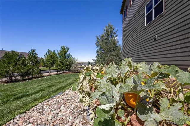 42003 Westchester Circle Elizabeth, CO 80107