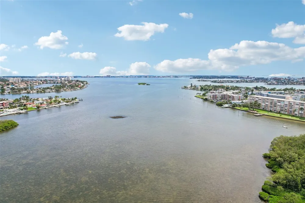 1332 PASADENA AVENUE S #207 South Pasadena, FL 33707