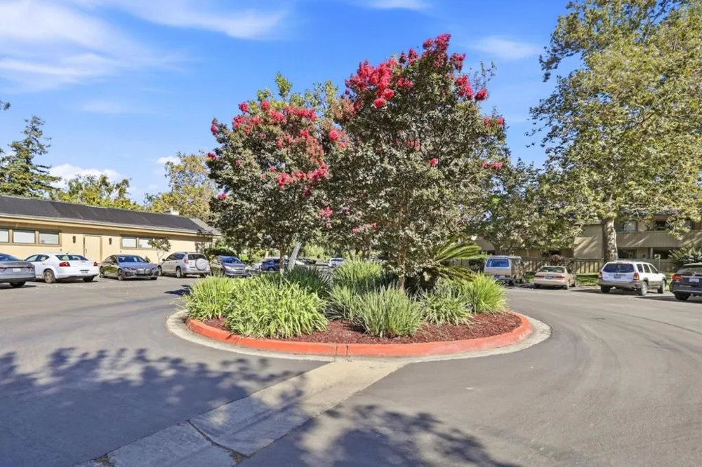 1081 Abbott Avenue Milpitas, CA 95035