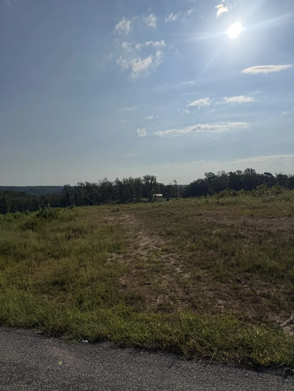 1 Springer Rd Hohenwald, TN 38462