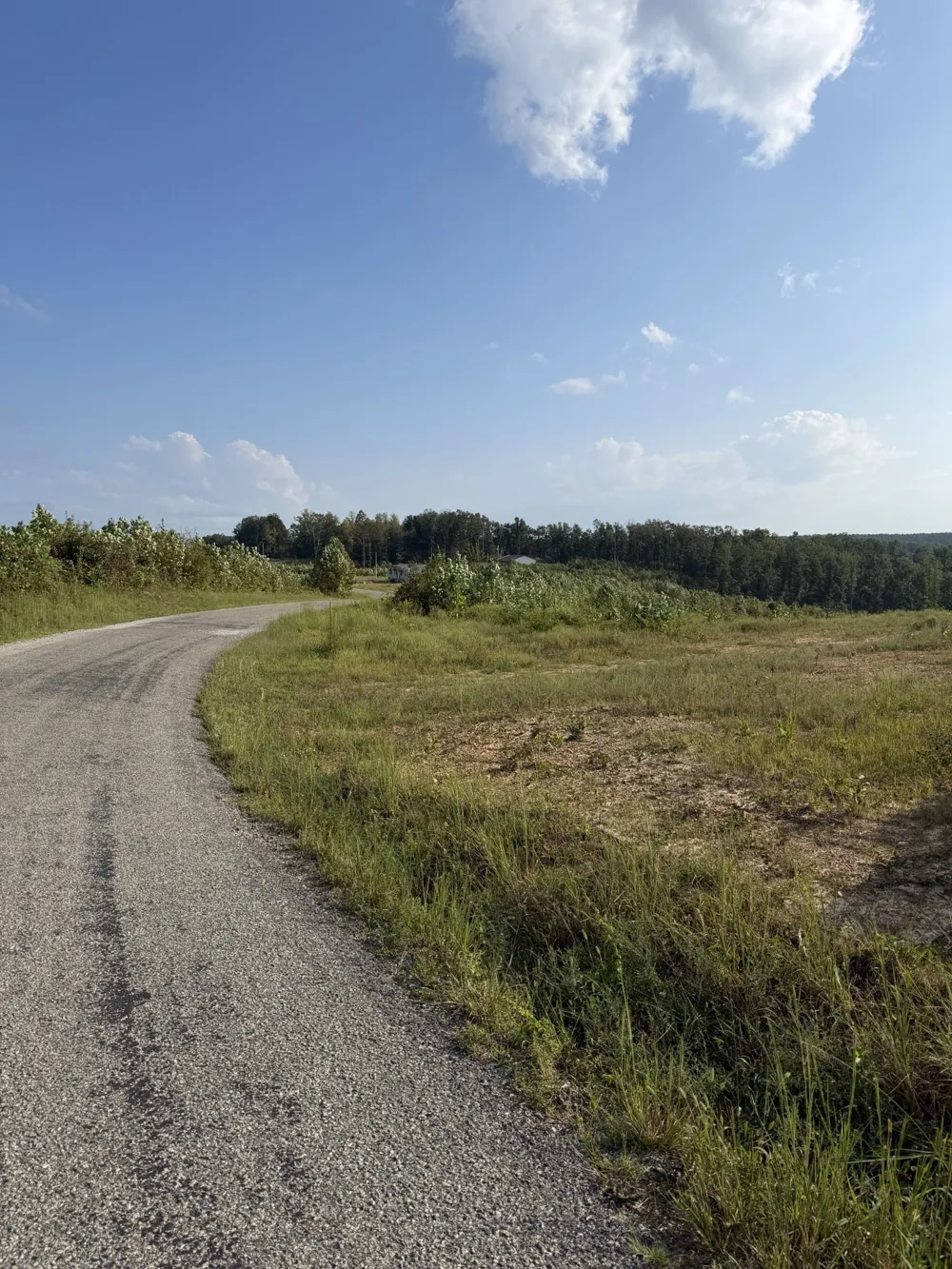 1 Springer Rd Hohenwald, TN 38462