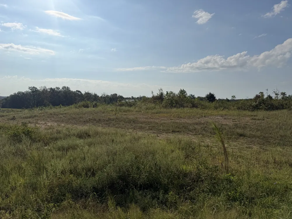 1 Springer Rd Hohenwald, TN 38462