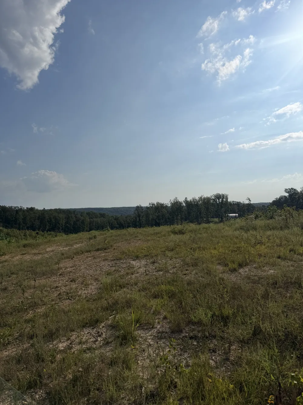 1 Springer Rd Hohenwald, TN 38462