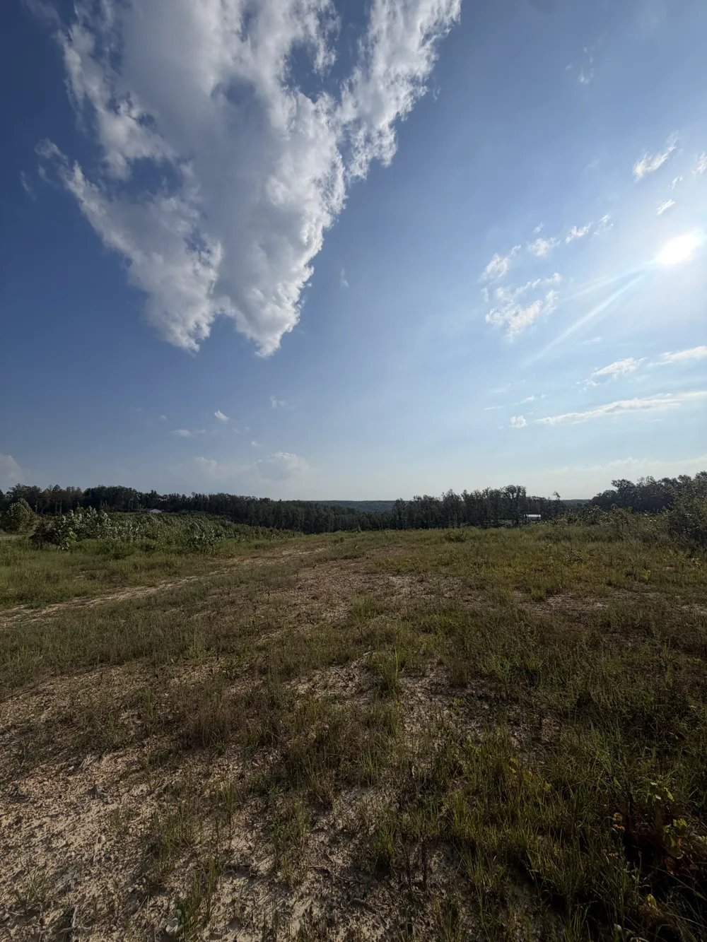 1 Springer Rd Hohenwald, TN 38462