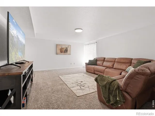 9015 E 139th Court Brighton, CO 80602