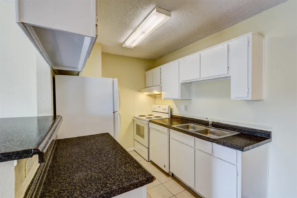 2750 Holly Hall Street #1017 Houston, TX 77054