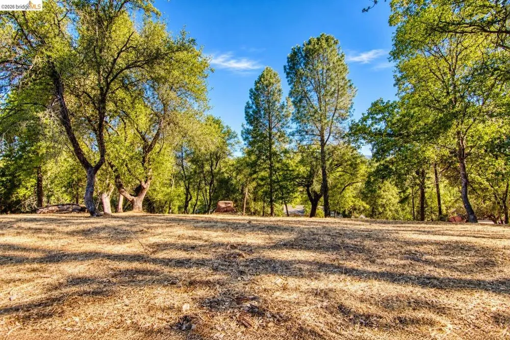 3 Longview St. Groveland, CA 95321