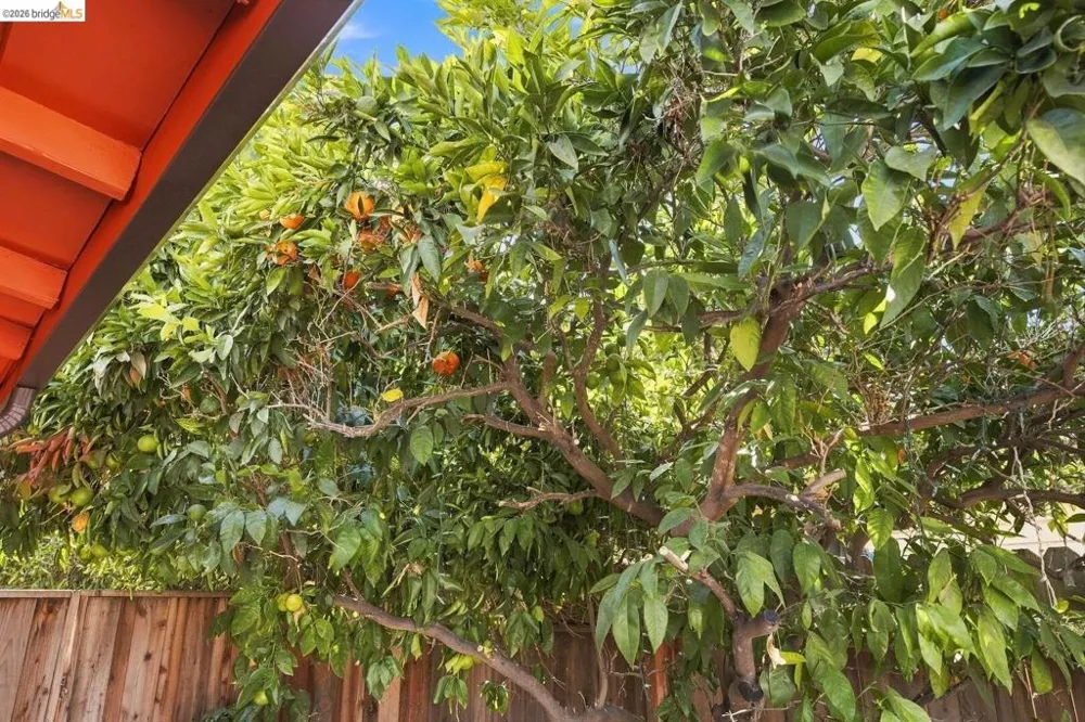 68 Water ST Bay Point, CA 94565