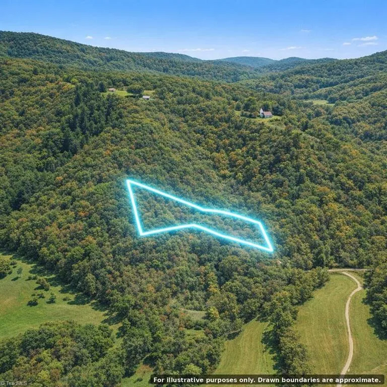 0 Sandy Creek Road Traphill, NC 28685
