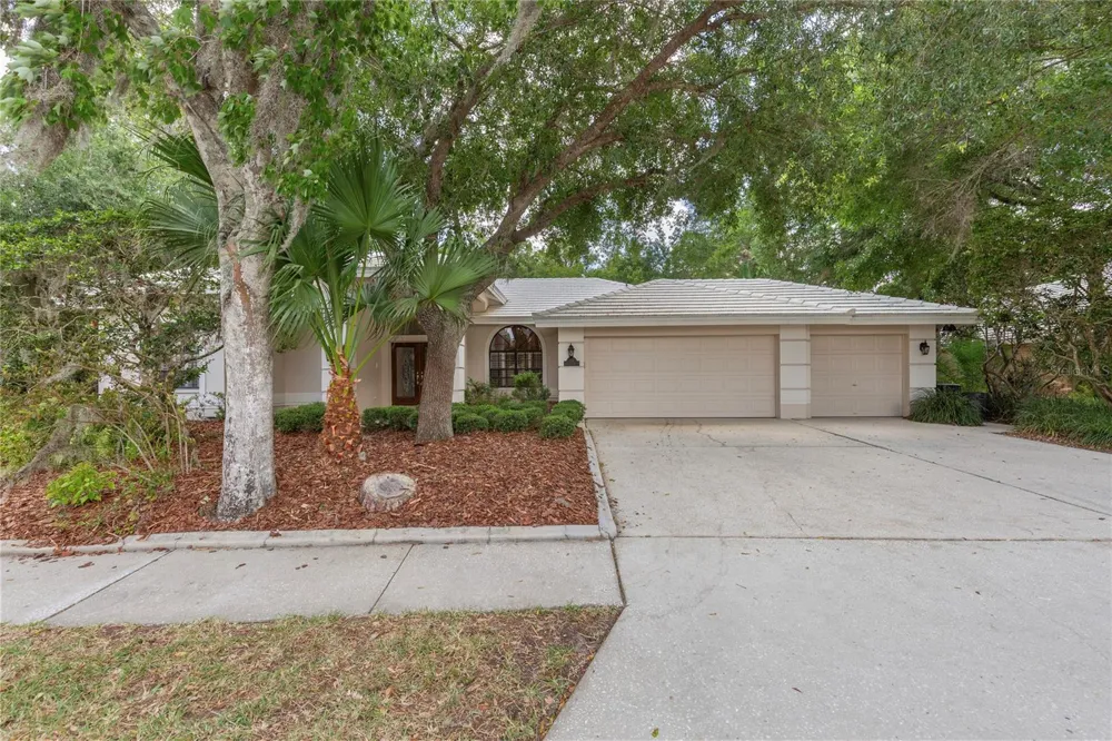 50 KELLEYS TRAIL Oldsmar, FL 34677