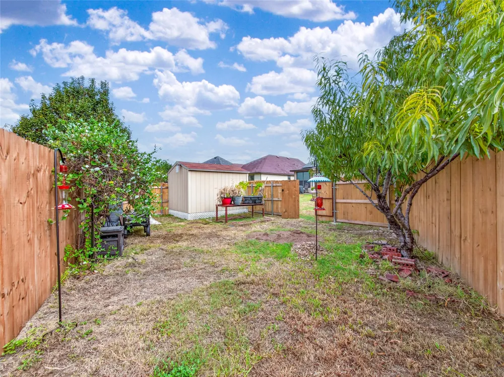 1017 Oatmeal Drive Pflugerville, TX 78660