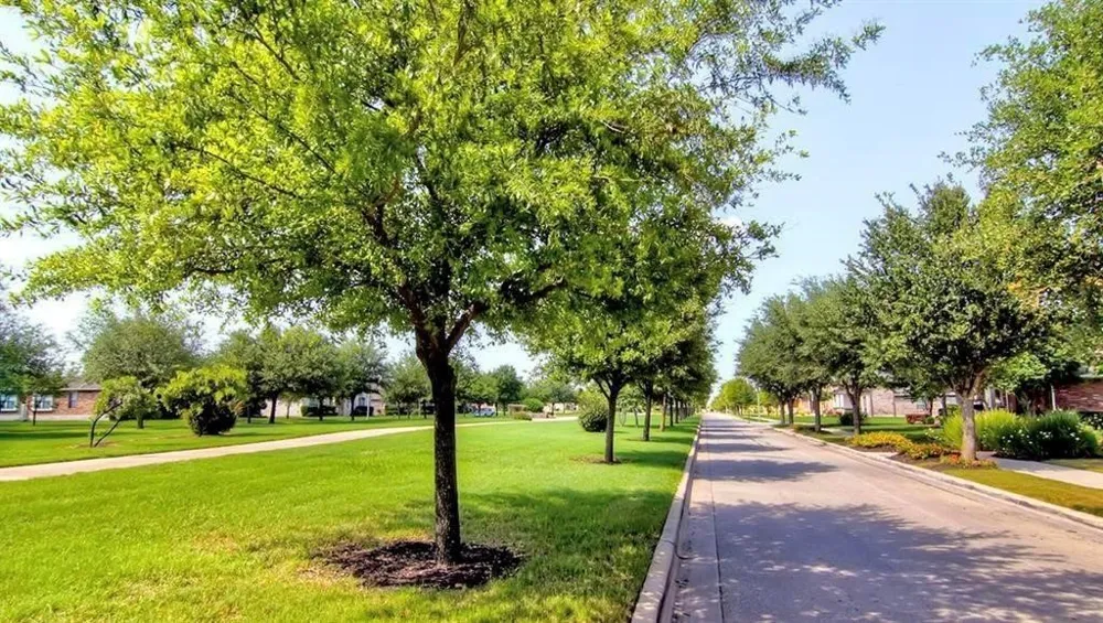 417 Katmai Circle Pflugerville, TX 78660