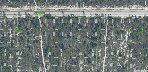 6654 Geoff Dr