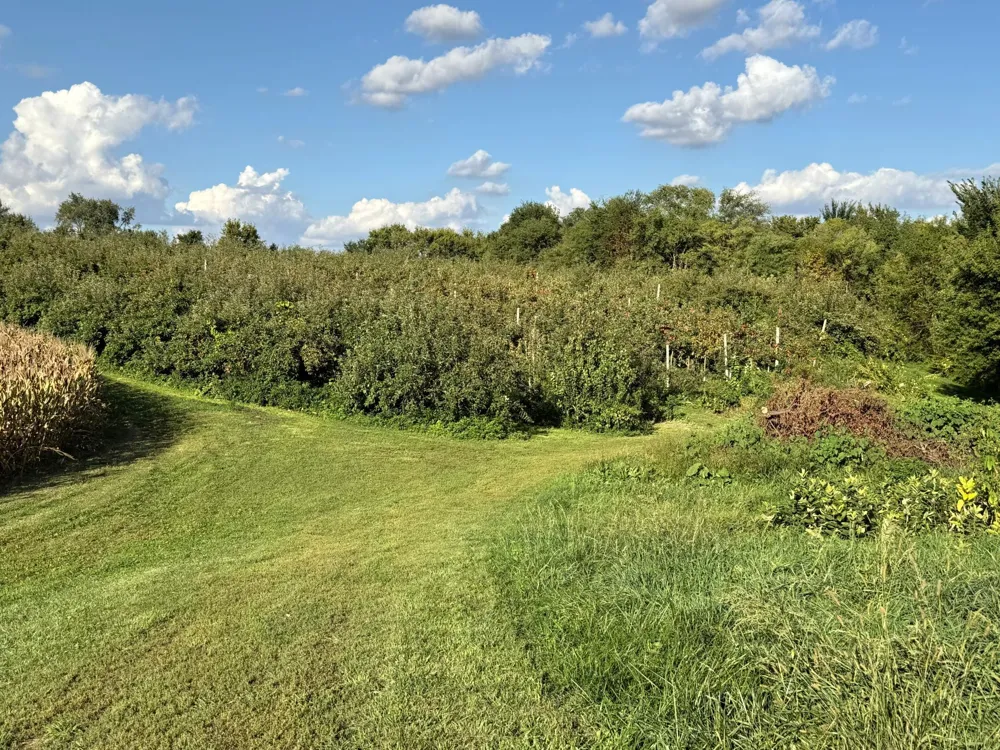 20758 528th Avenue Lake Crystal, MN 56055