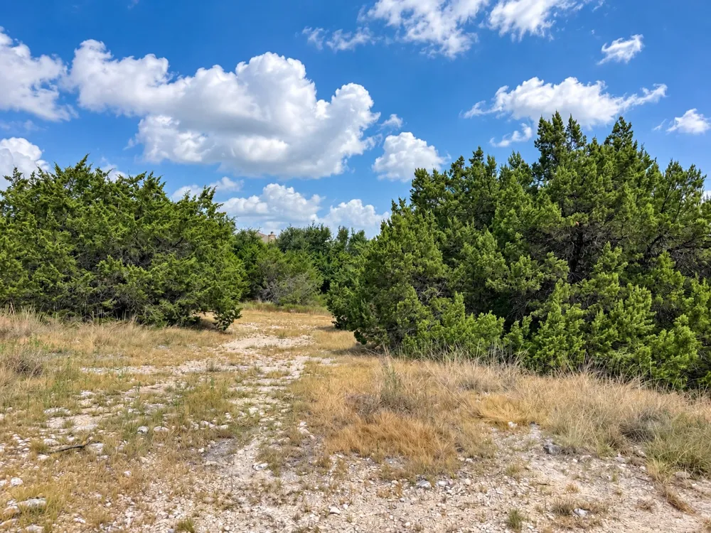 10013 JANET LOOP Dripping Springs, TX 78620