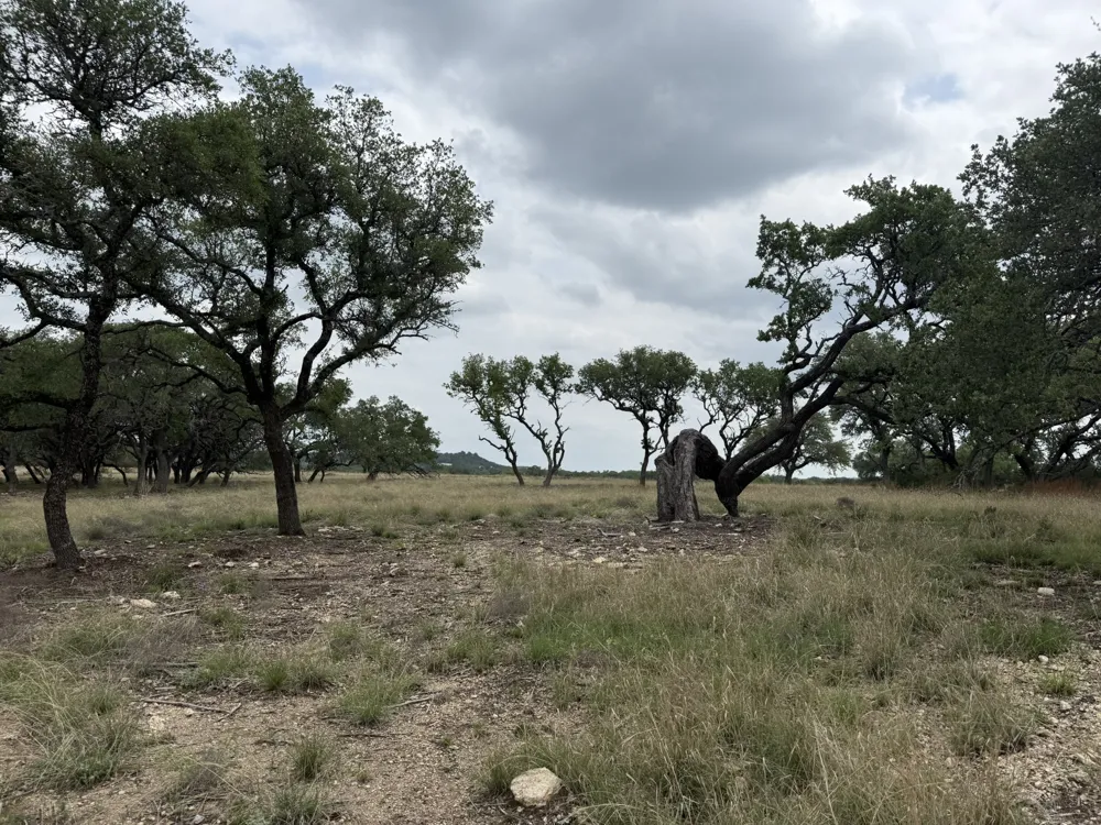 518 County Road 1403 Lometa, TX 76853