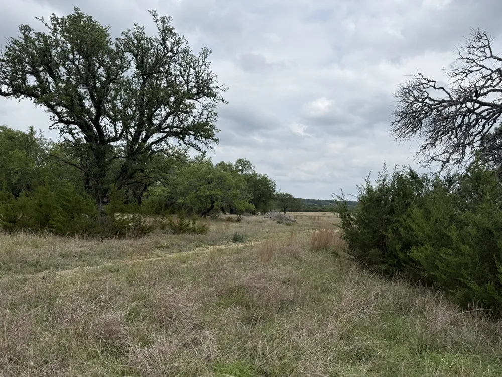 518 County Road 1403 Lometa, TX 76853