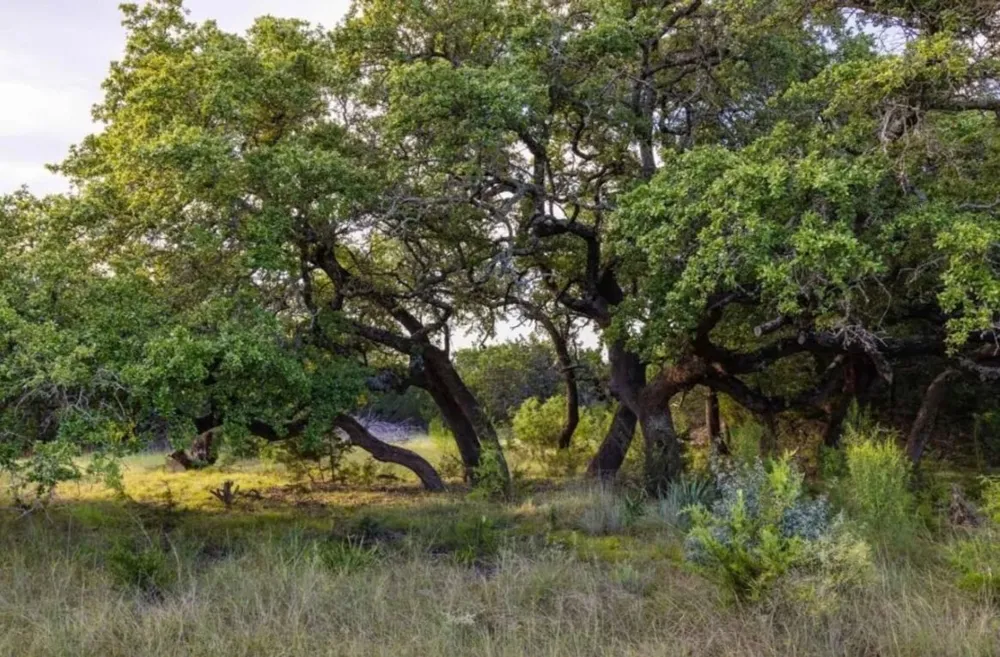 518 County Road 1403 Lometa, TX 76853