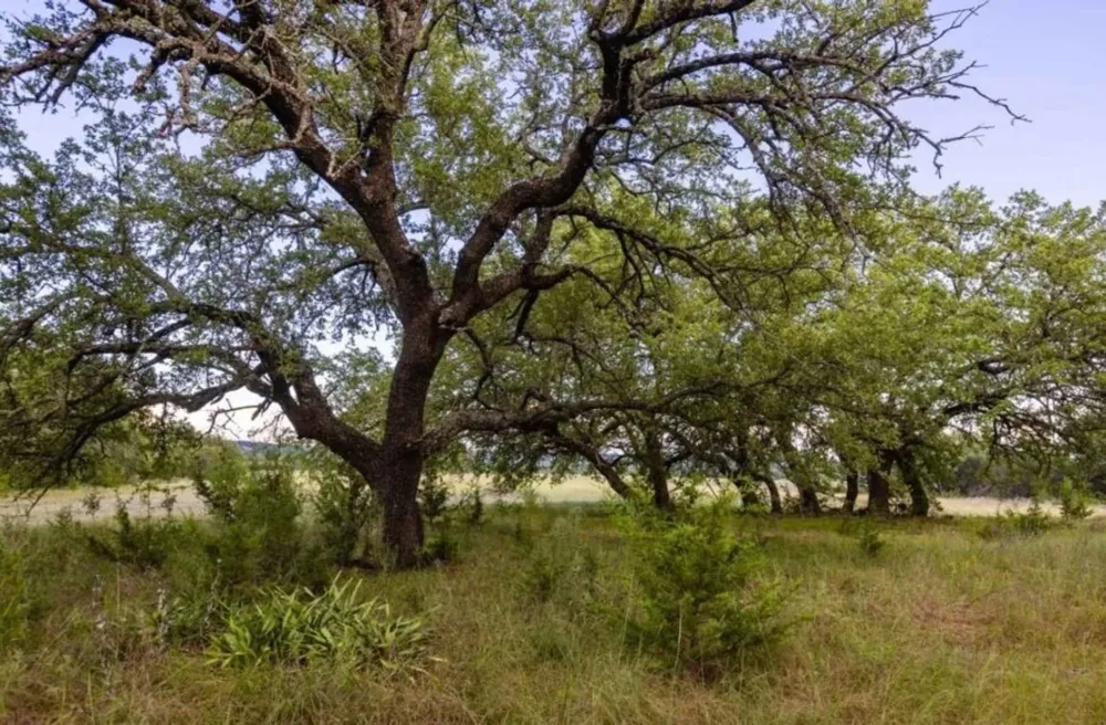 518 County Road 1403 Lometa, TX 76853