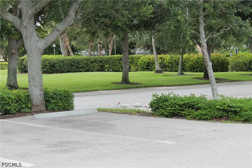 Lambay Court Cape Coral, FL 33991