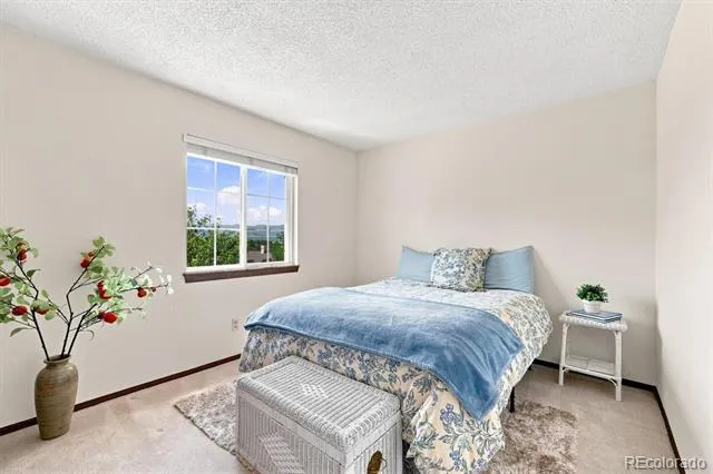 7631 S Bemis Street Littleton, CO 80120