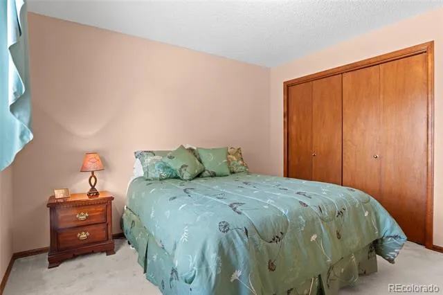 1520 Big Valley Drive Colorado Springs, CO 80919
