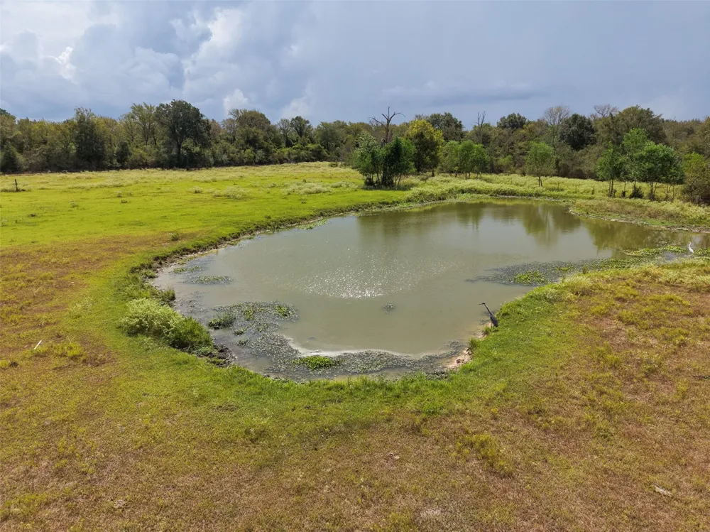 38021 Wiggins Road Hempstead, TX 77445