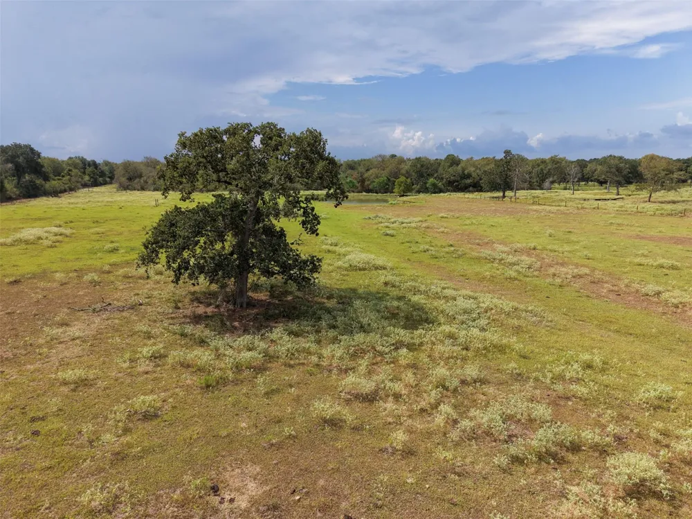 38021 Wiggins Road Hempstead, TX 77445