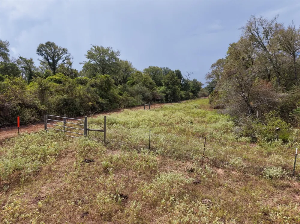 38021 Wiggins Road Hempstead, TX 77445