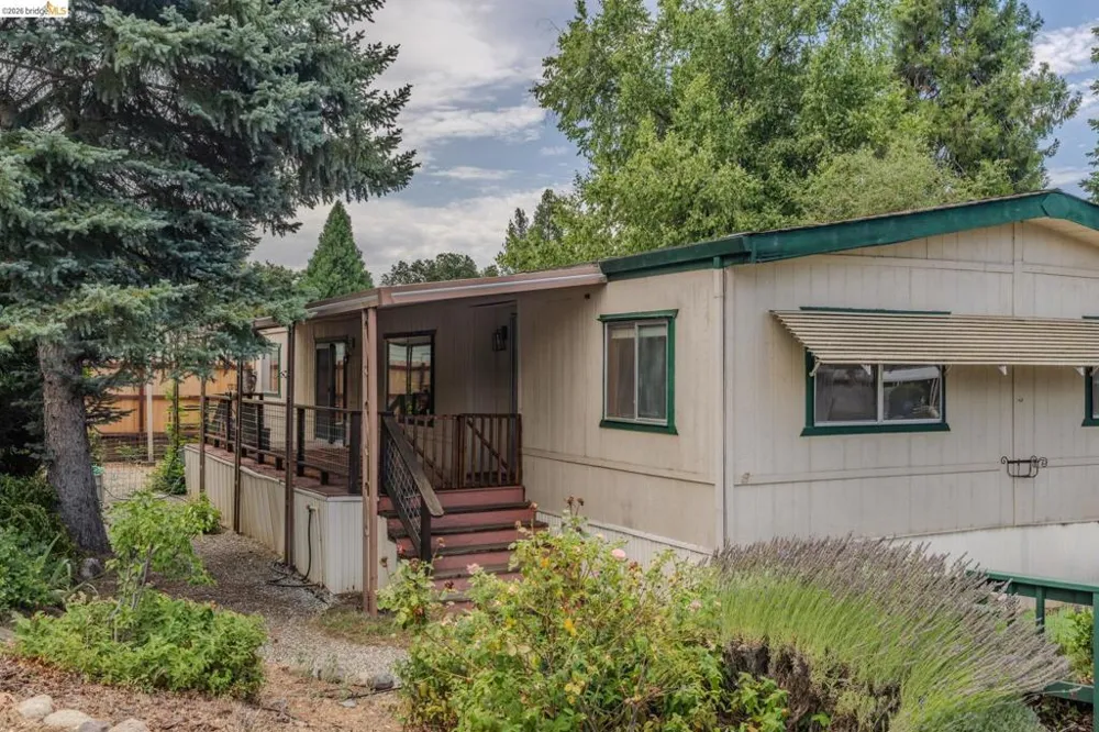 158 Three Fingered Jack Murphys, CA 95247