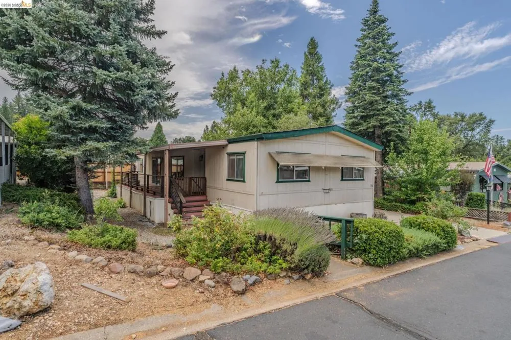 158 Three Fingered Jack Murphys, CA 95247