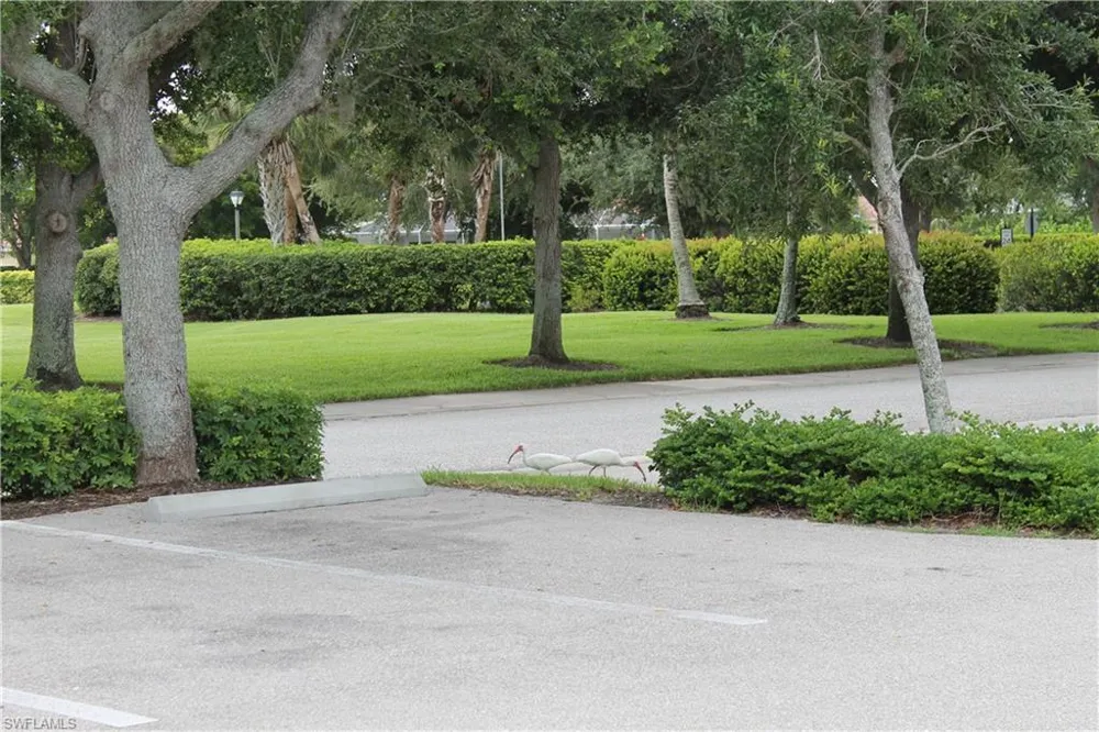 2736 Lambay Court Cape Coral, FL 33991
